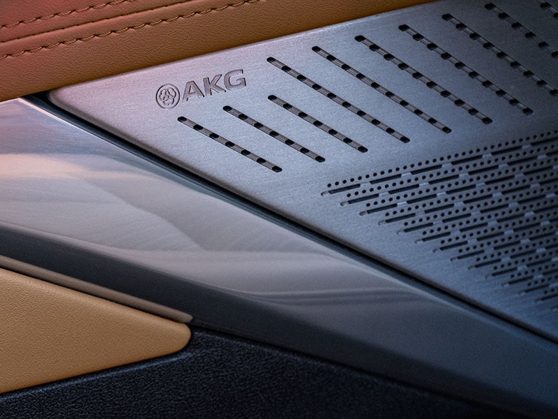 Close-up of the AKG Interior Audio Speakers in the 2025 Cadillac Escalade IQ